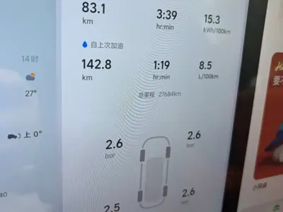 Li Auto Li L7