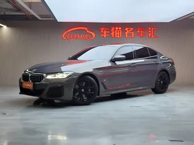 BMW 5 Series (Import)
