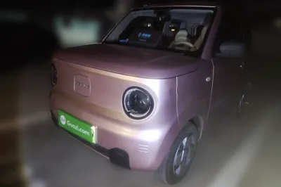 Geely Galaxy Panda