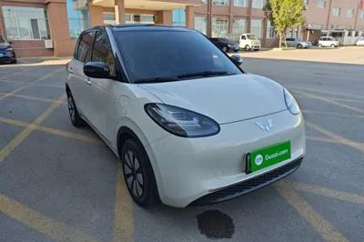 Wuling Bingo