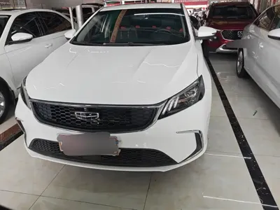 Geely Binrui