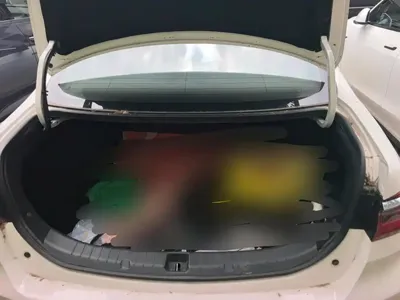 BYD Qin NEV
