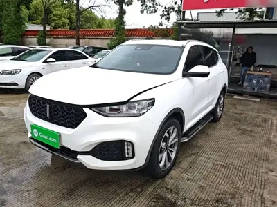 WEY Wey VV6