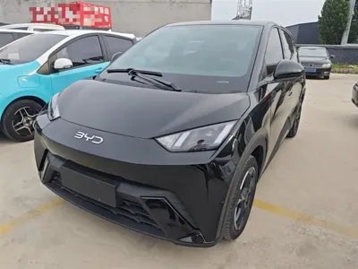 BYD Seagull