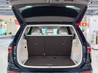 Volkswagen Viloran