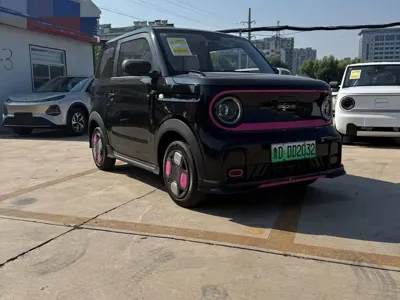 Galaxy Panda