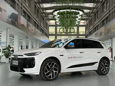 Audi 奥迪Q6L e-tron