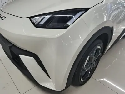 BYD Seagull
