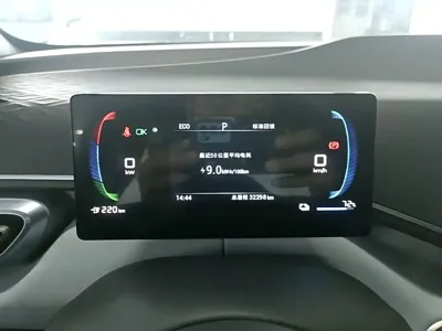 BYD Seagull