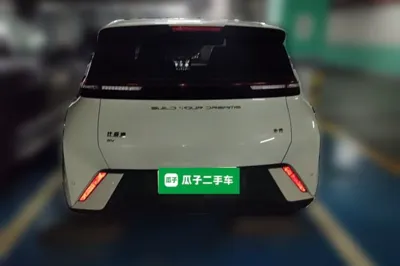 BYD Seagull