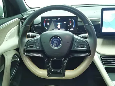 BYD Pro New Energy