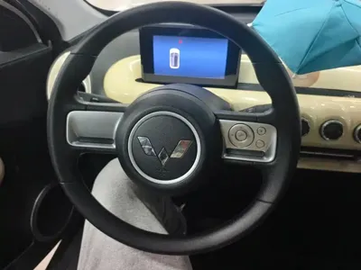 Wuling Bingo