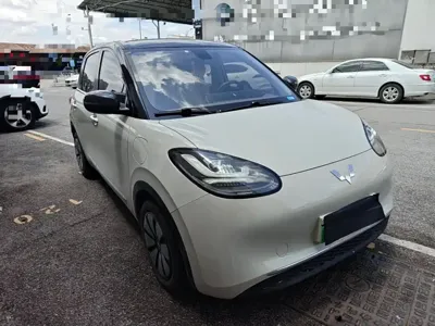 Wuling Bingo