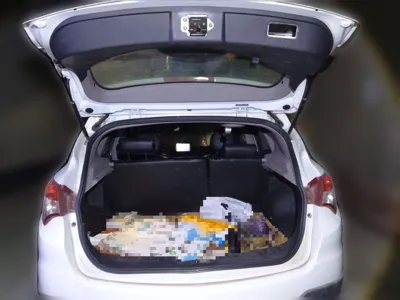 Haima S5