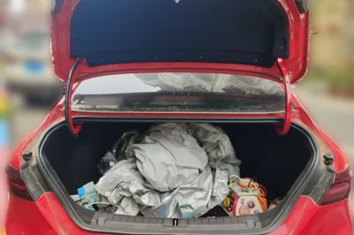 Geely Auto Binray