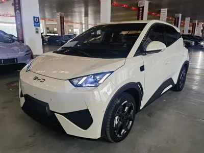 BYD Seagull