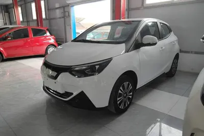 JMEV Xiao Qilin
