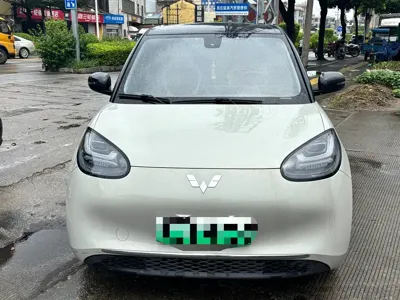 Wuling Bingo