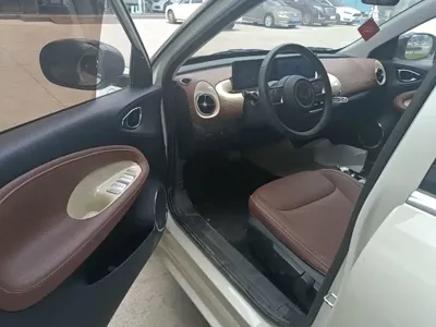 Wuling Bingo