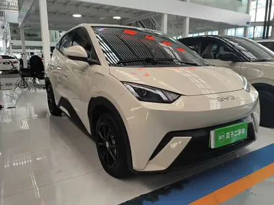 BYD Seagull