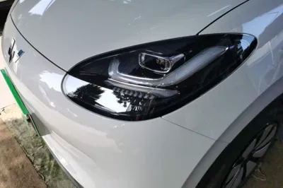 Wuling Bingo