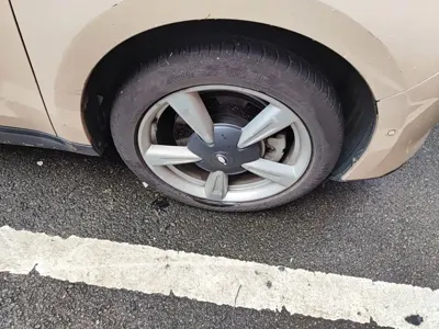 ORA Ora Good Cat