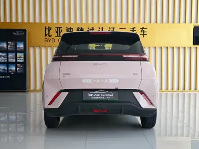 BYD Seagull