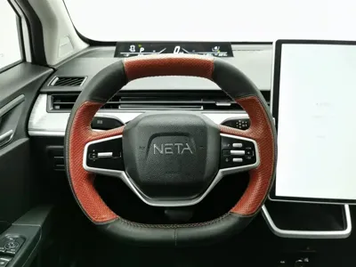 NETA Neta V
