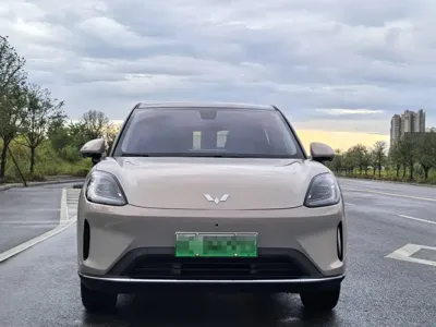 Wuling 缤果S