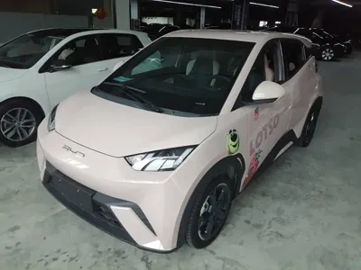 BYD Seagull