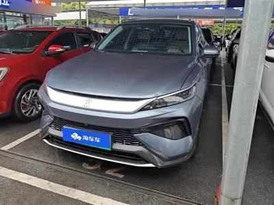 BYD Pro New Energy