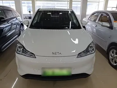 NETA Neta V