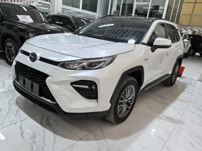 Toyota Wildlander