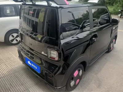 Galaxy Panda