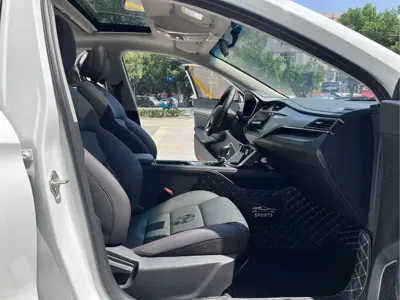Geely Binrui
