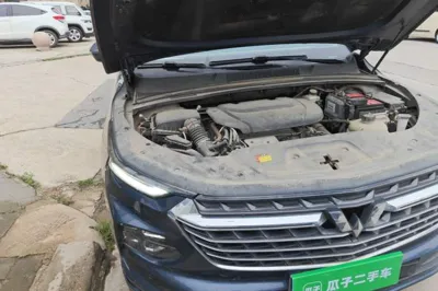 Wuling Victory