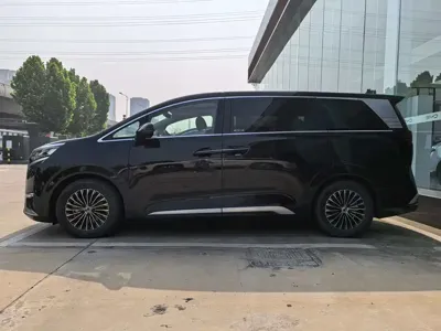 Denza Denza D9