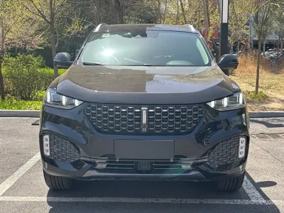 WEY Wey VV6