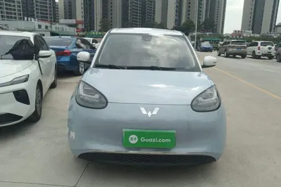 Wuling Bingo