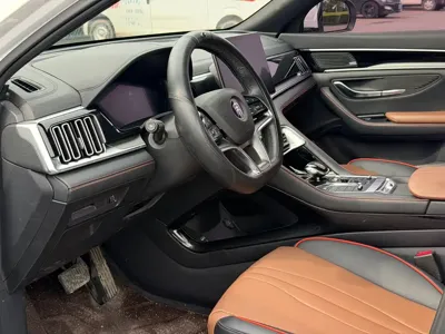BYD PLUS