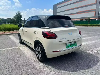 Wuling Bingo
