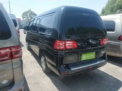 Fengxing Lingzhi