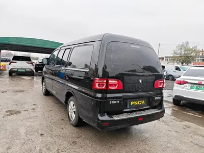 Fengxing Lingzhi