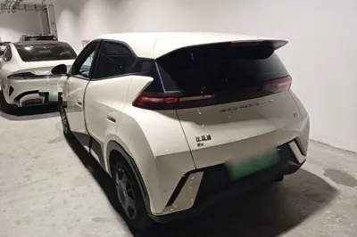 BYD Seagull