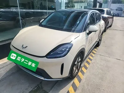 Wuling 缤果S