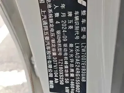Wuling Bingo