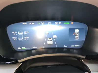 BYD PLUS New Energy