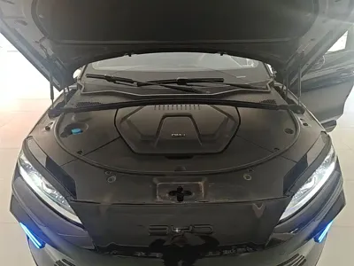 BYD PLUS New Energy