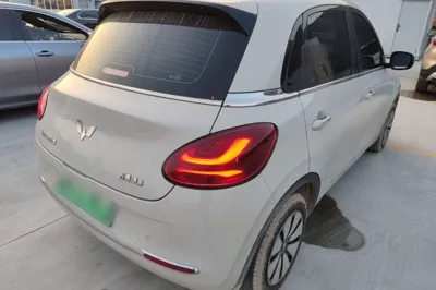 Wuling Bingo