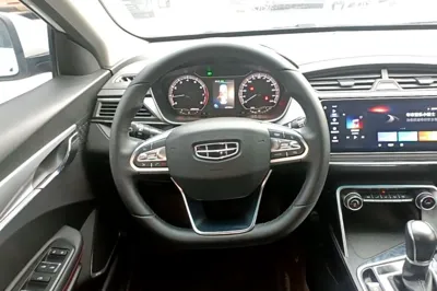 Geely Auto Binray